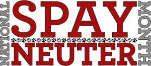 national spay and neuter month